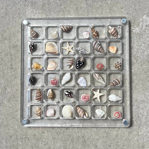 Sea Shell Box